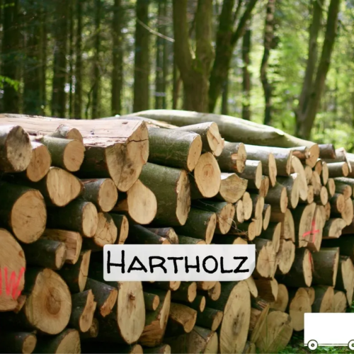 Stammholz Hartholz-Laubholz – LKW-Ladung (20 – 40 RM)